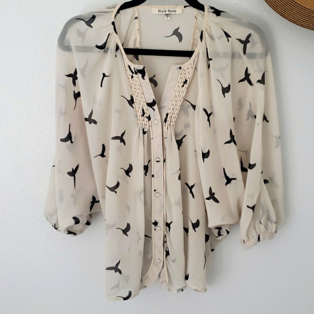 Black Rainn Sheer Blouse